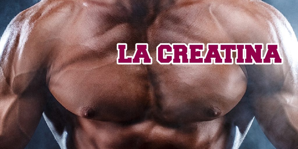 creatina
