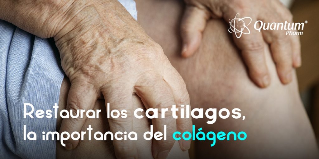 cartílagos y colageno