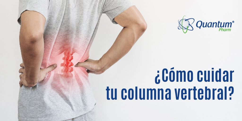 Columna vertebral